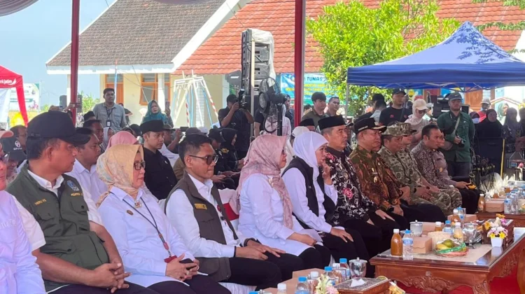 Gubernur Jawa Timur Hadiri Gerakan Panen dan Percepatan Tanam Padi di Kab. Madiun
