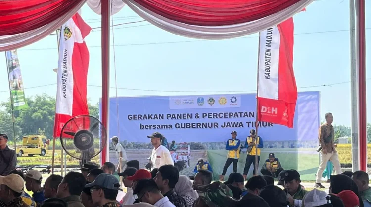Gubernur Jawa Timur Hadiri Gerakan Panen dan Percepatan Tanam Padi di Kab. Madiun