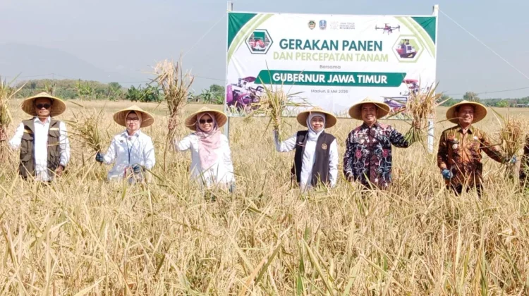 Gubernur Jawa Timur Hadiri Gerakan Panen dan Percepatan Tanam Padi di Kab. Madiun