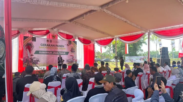 Gubernur Jawa Timur Hadiri Gerakan Panen dan Percepatan Tanam Padi di Kab. Madiun