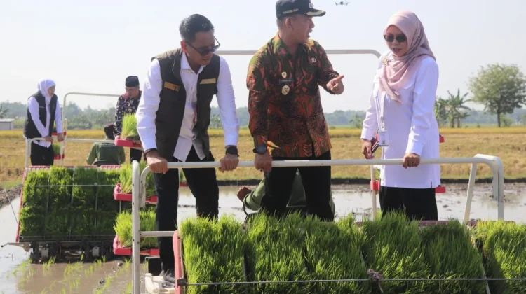 Gerakan Percepatan Tanam dan Panen Padi Tahun 2026 di wilayah Kabupaten Madiun