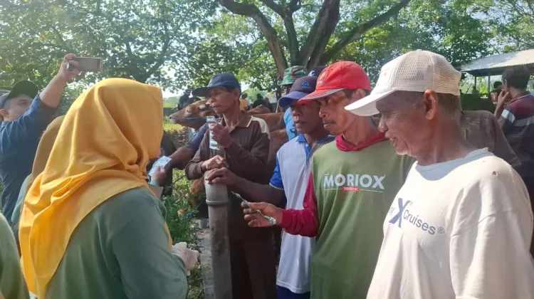 DKPP Madiun Perketat Pemeriksaan Hewan Kurban Menjelang Idul Adha