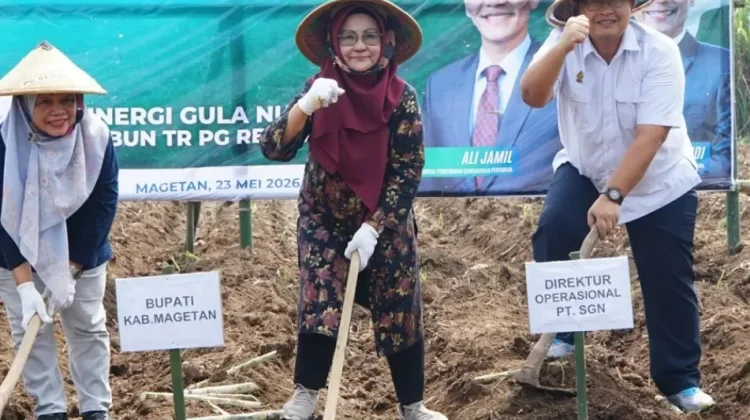 Dukung Swasembada Gula, Magetan Ikuti Tanam Perdana Program Bongkar Ratoon Tebu