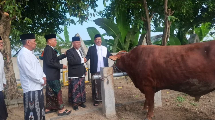Iduladha 1447 H di Kabupaten Madiun: Dari Salat hingga Penyaluran Hewan Kurban