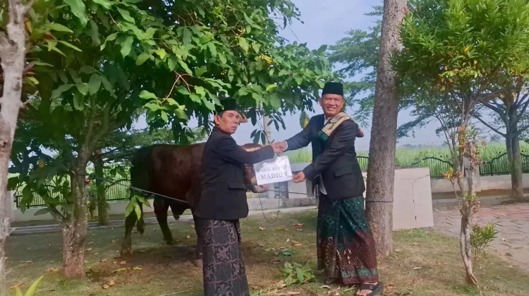Iduladha 1447 H di Kabupaten Madiun: Dari Salat hingga Penyaluran Hewan Kurban