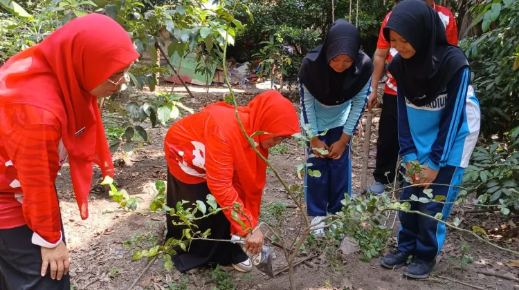 Sistem Integritas Kompor, Abu dan Kotoran Hewan Tuk Pemulihan Lahan Desa