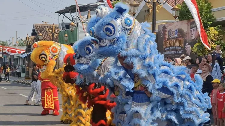 Atraksi Barongsai Semarakkan Kirab Budaya Kelurahan Winongo