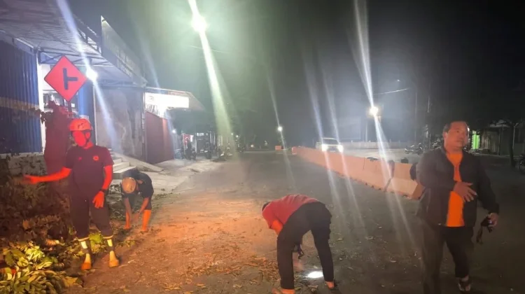 Pohon Tumbang Sempat Tutup Separuh Jalan Raya Kawedanan-Magetan