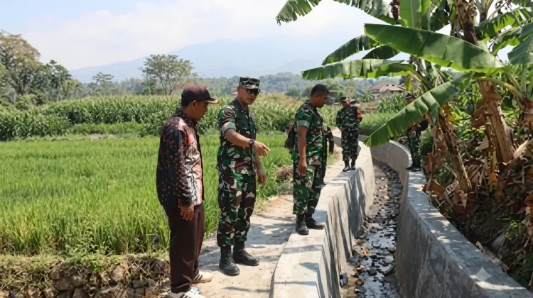 Program Pipanisasi Diharapkan Mampu Tingkatkan Produktivitas Sawah di Magetan