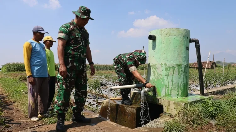 Program Pipanisasi Diharapkan Mampu Tingkatkan Produktivitas Sawah di Magetan