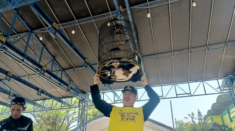 Lomba Burung Berkicau Bupati Madiun Cup Hadirkan Peserta dari Luar Kota