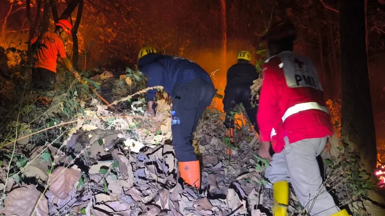 BNPB: Karhutla Gunung Bungkuk Magetan Berhasil Dipadamkan