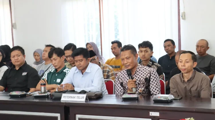 Penyebab Telur Magetan Anjlok, Produksi 79 Ton Sehari Kebutuhan Lokal Hanya 3 Ton