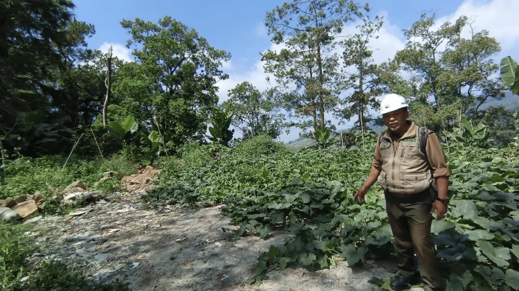 Perhutani Kembalikan Bekas TPA Liar Sarangan Menjadi Kawasan Hutan