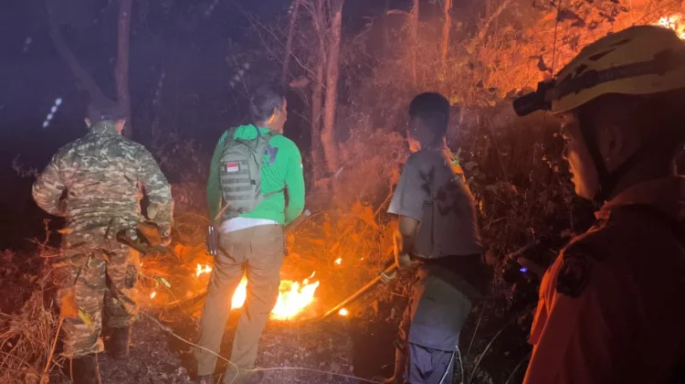 Hutan Rakyat di Mategal Magetan Terbakar, Luas Capai 3 Hektare