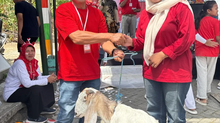 MERIAH! Ratusan Warga RT 8 Ikuti Jalan Santai dan Mini Carnival Peringatan HUT RI