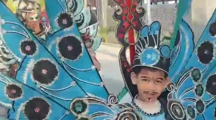 MERIAH! Ratusan Warga RT 8 Ikuti Jalan Santai dan Mini Carnival Peringatan HUT RI