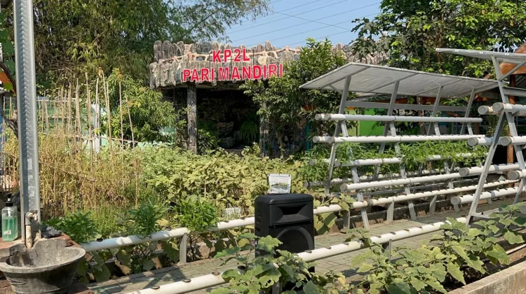 Kelompok Bermain Al Irsyad Kota Madiun Outdoor Learning di KP2L Pari Mandiri