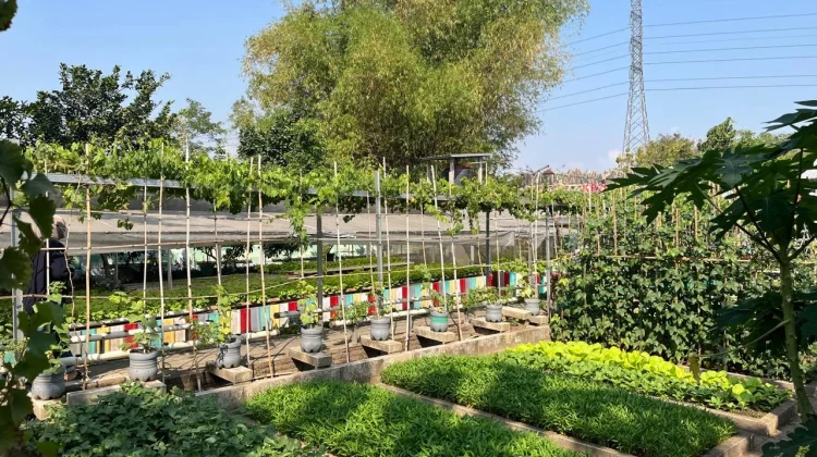 Kelompok Bermain Al Irsyad Kota Madiun Outdoor Learning di KP2L Pari Mandiri