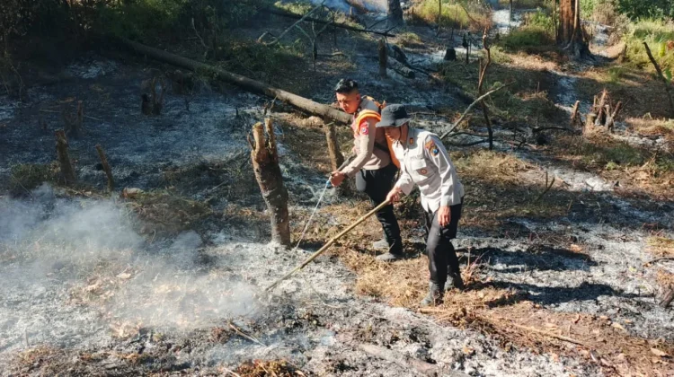 Respons Cepat Petugas Cegah Api Meluas di Lereng Gunung Lawu