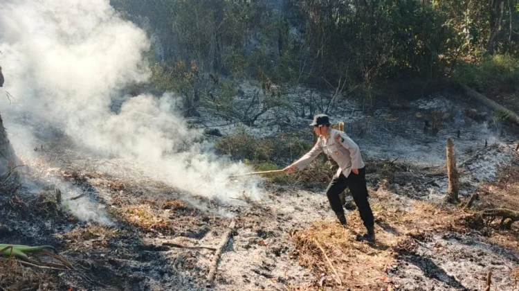 Respons Cepat Petugas Cegah Api Meluas di Lereng Gunung Lawu