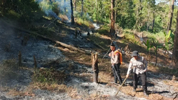Titik Api Muncul di Sarangan, Polisi dan Perhutani Perketat Pengawasan Hutan