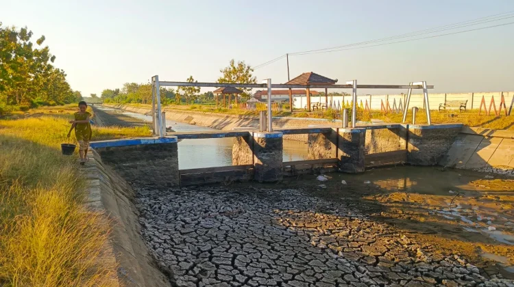 Kemarau Susutkan 27 Sumber Air di Magetan, Sejumlah Embung dan Kanal Mengering