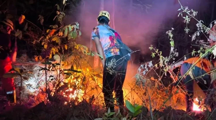 Gunung Bancak Magetan Terbakar Lagi, Petugas Padamkan Api dengan Cara Manual