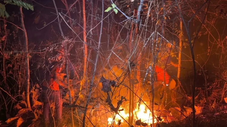 Tiga Kebakaran Landa Kawasan Gunung Bancak Magetan dalam Sehari