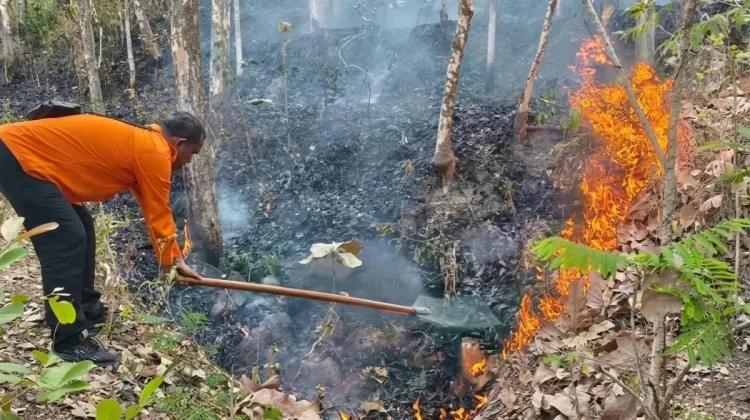 Tiga Kebakaran Landa Kawasan Gunung Bancak Magetan dalam Sehari