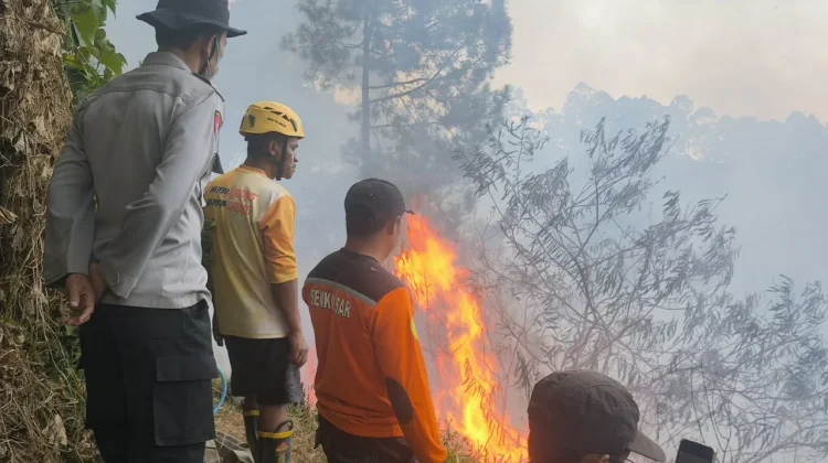 Medan Curam Hambat Pemadaman Kebakaran Lahan di Singolangu Magetan