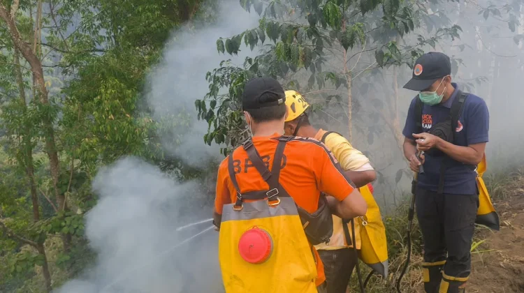 Medan Curam Hambat Pemadaman Kebakaran Lahan di Singolangu Magetan