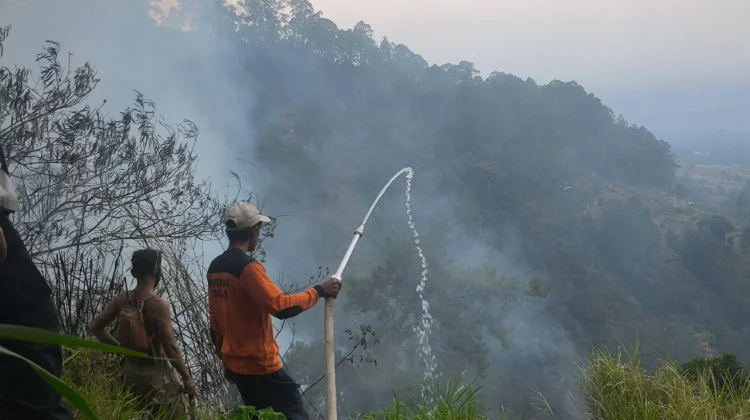 Kebakaran di Singolangu Magetan Hanguskan 4 Hektare Lahan