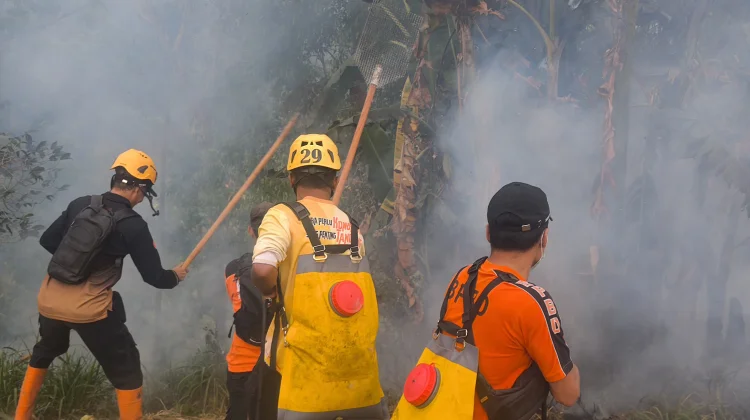 Kebakaran di Singolangu Magetan Hanguskan 4 Hektare Lahan