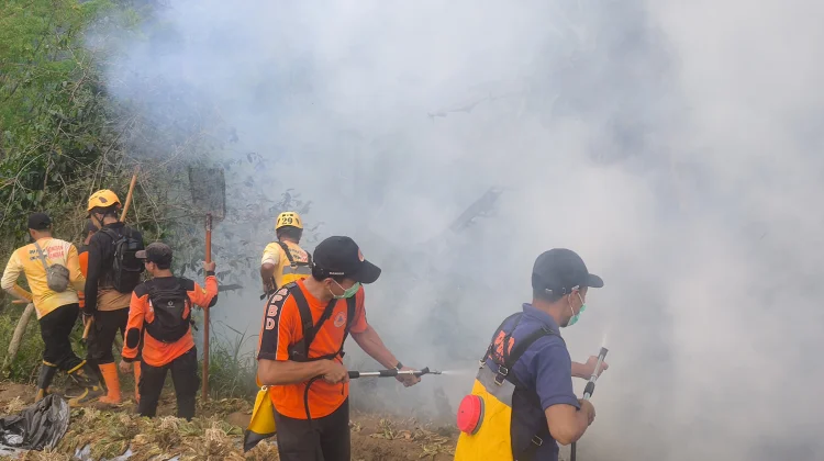 Kebakaran di Singolangu Magetan Hanguskan 4 Hektare Lahan