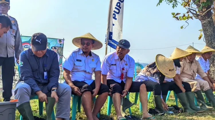 Perkuat Lumbung Pangan, Pemkab Madiun Laksanakan Gerakan Tanam Serempak