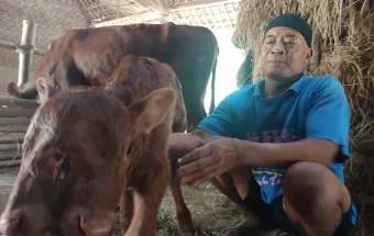 Hebohkan Warga, Anak Sapi Bermata Tiga Lahir di Magetan