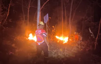 Hutan Rakyat di Mategal Magetan Terbakar, Luas Capai 3 Hektare