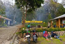 Gunung Lawu jadi Primadona Pendaki Habiskan waktu Libur Lebaran