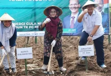 Dukung Swasembada Gula, Magetan Ikuti Tanam Perdana Program Bongkar Ratoon Tebu