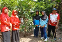 Sistem Integritas Kompor, Abu dan Kotoran Hewan Tuk Pemulihan Lahan Desa