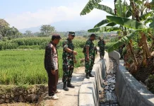 Program Pipanisasi Diharapkan Mampu Tingkatkan Produktivitas Sawah di Magetan