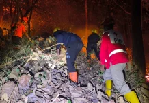 BNPB: Karhutla Gunung Bungkuk Magetan Berhasil Dipadamkan