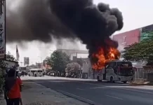 Bus Eka Terbakar, Penumpang dan Kru Berhasil Dievakuasi