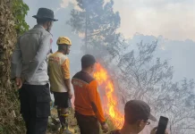 Medan Curam Hambat Pemadaman Kebakaran Lahan di Singolangu Magetan