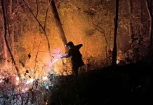 Lima Hektare Lahan Hutan Rakyat di Gunung Bancak Magetan Terbakar