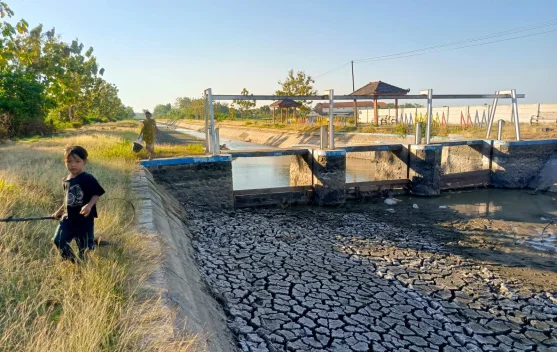 Kemarau Susutkan 27 Sumber Air di Magetan, Sejumlah Embung dan Kanal Mengering