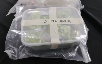 Ungkap 32 Kasus Narkoba, Satresnarkoba Bekuk 49 Tersangka