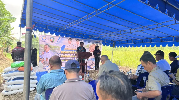Pemkab Malinau Serahkan Bantuan Benih dan Gelar Panen Perdana Musim Tebar III