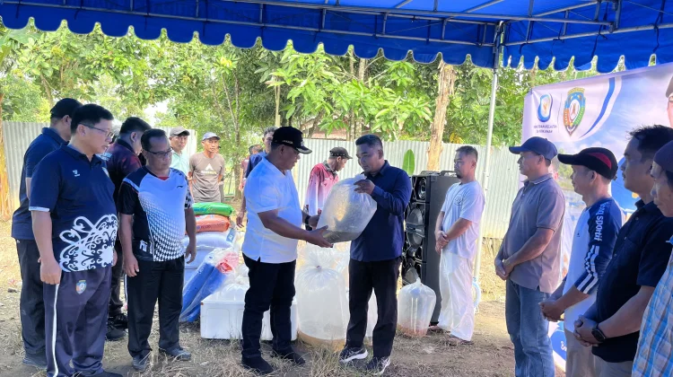Pemkab Malinau Serahkan Bantuan Benih dan Gelar Panen Perdana Musim Tebar III